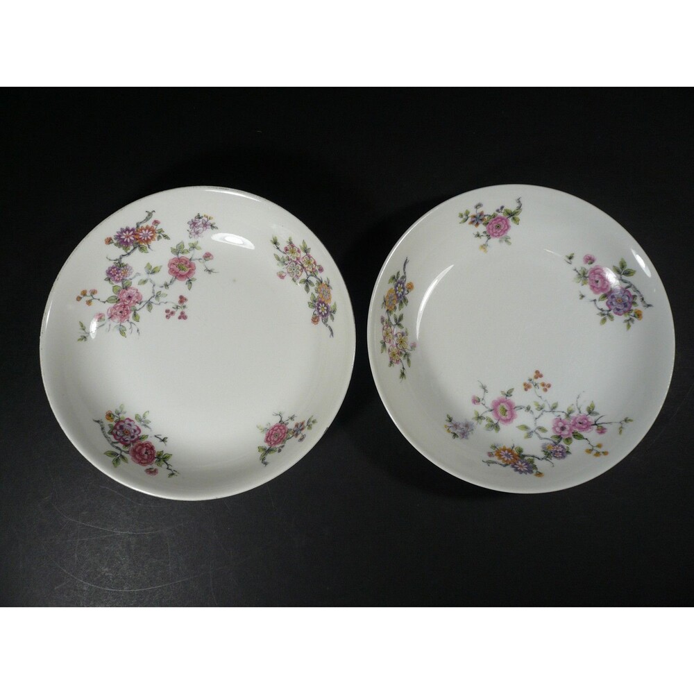 Antique J. Pouyat Limoges France 2 Floral Bowls 7½" Wannamakers Philidelphia